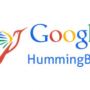 google-humingbird Algorithm