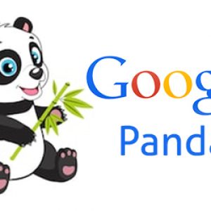 google-panda Algorithm