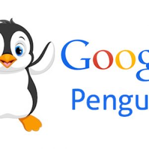 penguin Algorithm